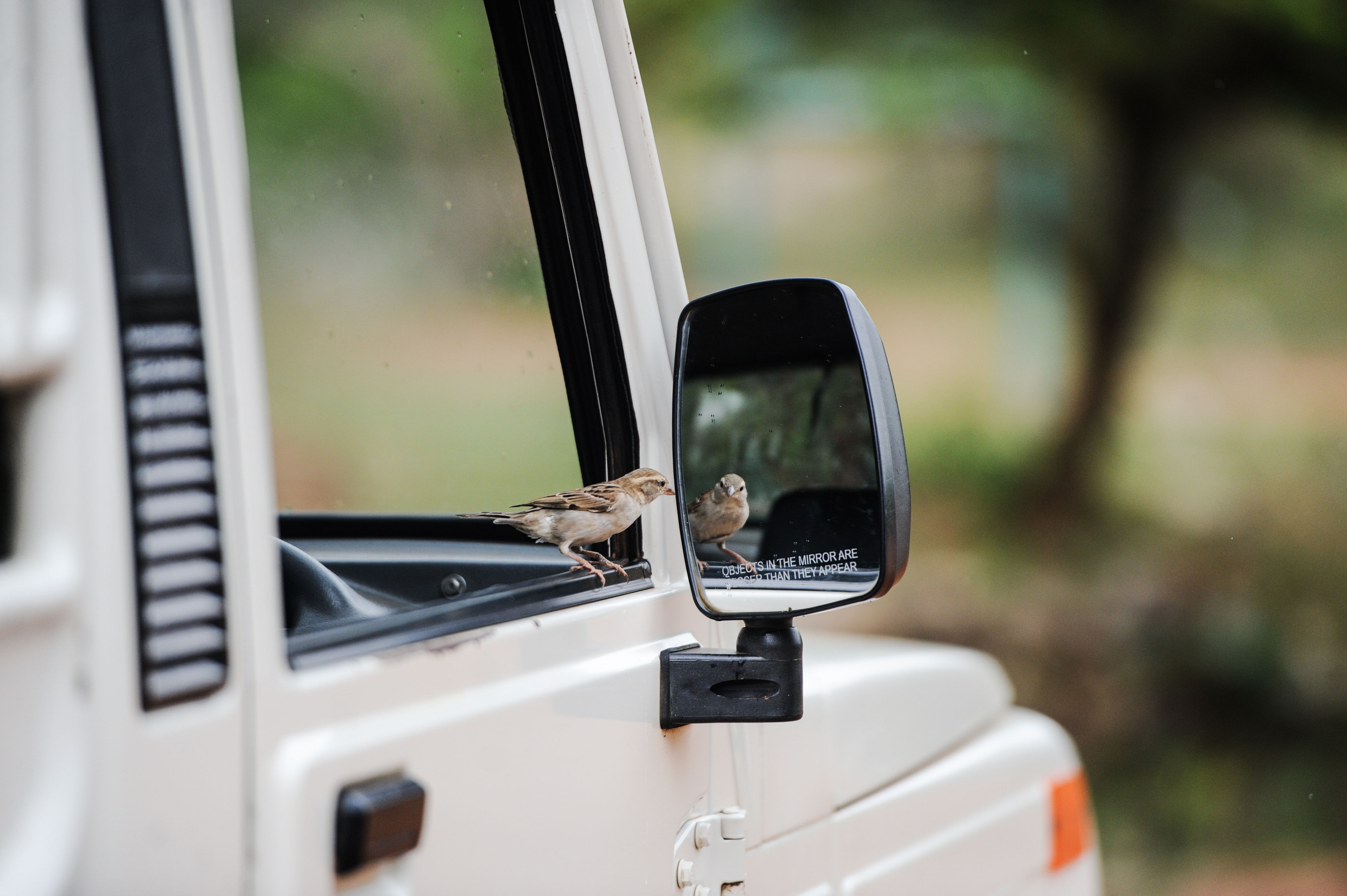 Jeep Door Mirrors, Side Mirrors & No Door Mirrors For Sale